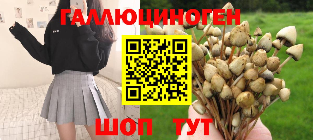 Галлюциногенные грибы мицелий Кушва