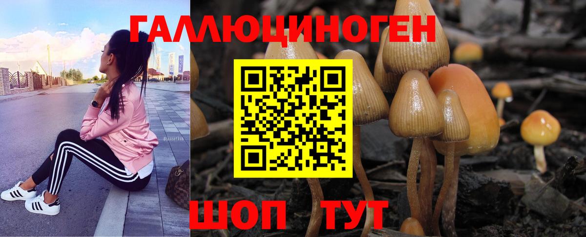Псилоцибиновые грибы Magic Shrooms  Вход с VPN  Кушва  Псилоцибиновые грибы мицелий 